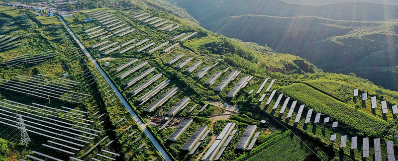 Treasol photovoltaic connector manufacturing in Dongguan, China — solar PV connectors, junction boxes and wiring harnesses